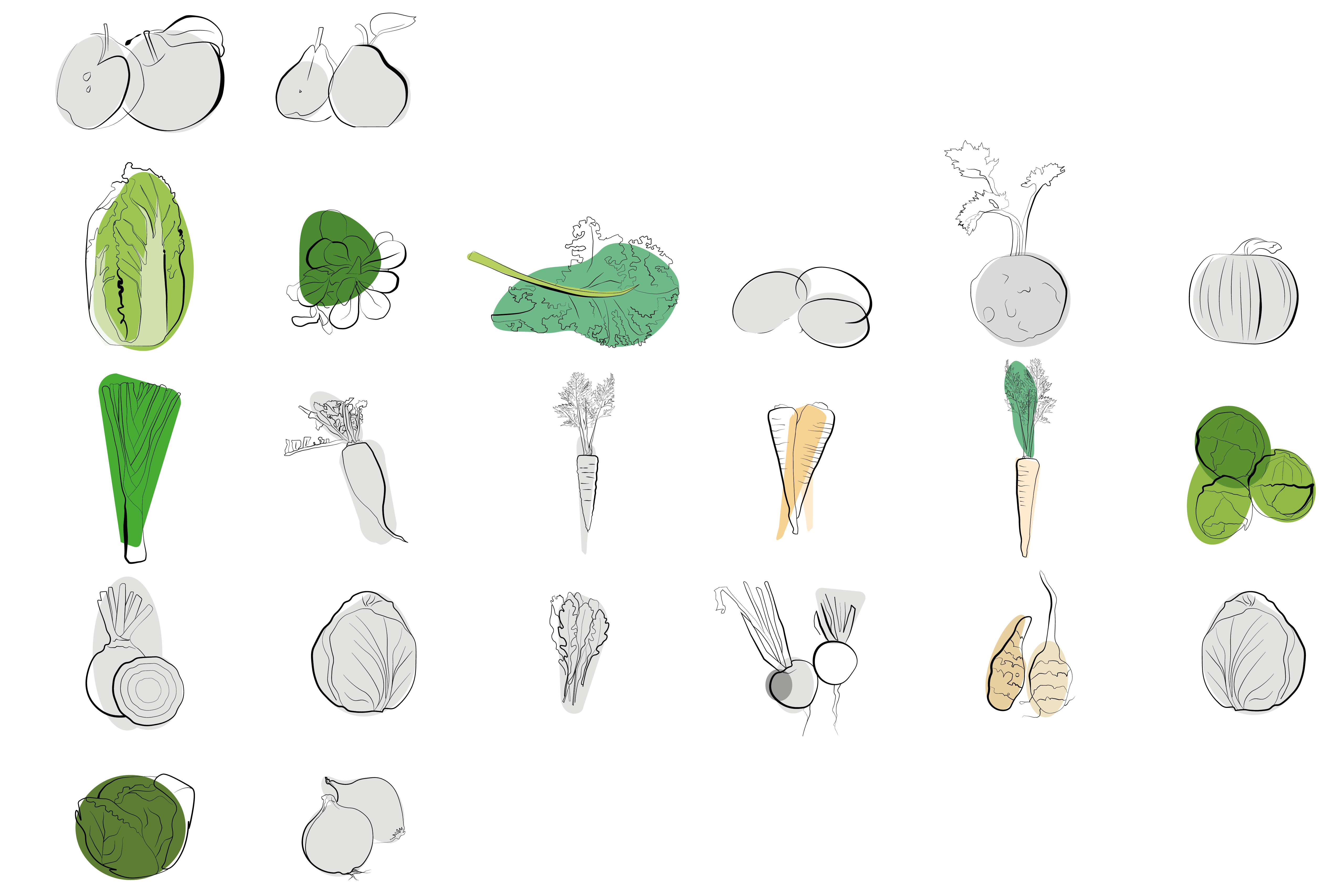Saisonal verfügbares Gemüse im Februar