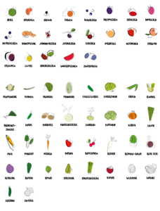 Regionales und saisonales Gemüse und Obst im August