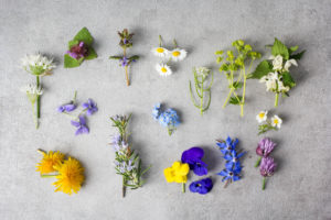 Essbare Blüten in der darmgesunden Küche